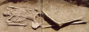 Fig. 5a-b Necropoli di Baggiovara (Modena), tomba 13. Deposizione femminile con corpo mutilato, circa VI sec. d.C. (da Cesari e Neri 2009 :21).